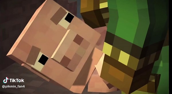 Pikmin_Fan on TikTok