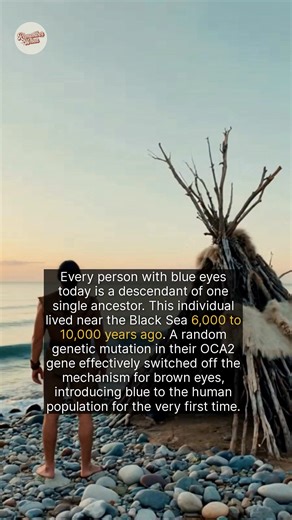 201K views · 1.8K reactions | The appearance of blue eyes traces back...