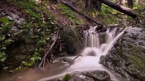 World Music | Teaching Resources