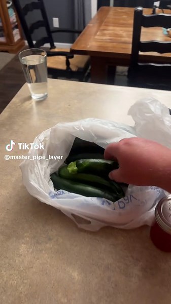 Master Pipe Layer on TikTok