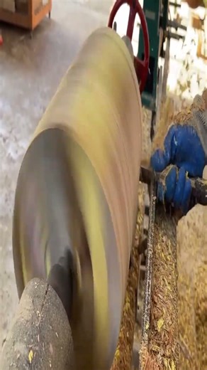 Mesmerizing Wood Loop 🔄 | Hypnotic Crafting Magic