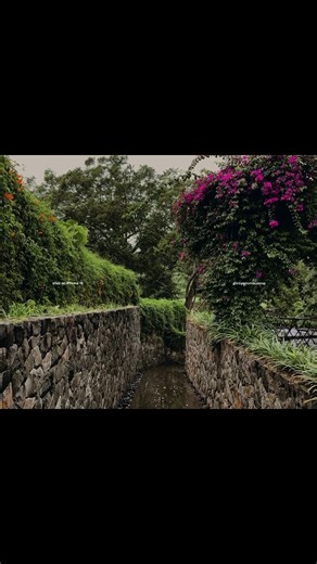 Capture by iPhone 13 Basic model #cinematic #iphone #davinciresolve #log #iphone13