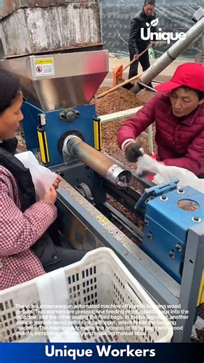 Wood Pellet Bagging Machine: Efficient Automation in Action