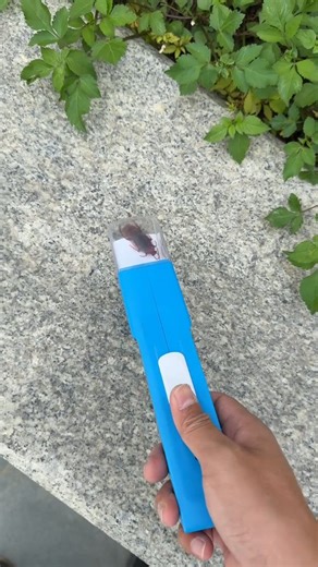 Tech That Matters on Instagram: "Bug Catching Tool😍 #amazonfinds #amazonmusthaves #amazon #amazongadgets #founditonamazon #lifehacks #diy #amazonhack #musthave"