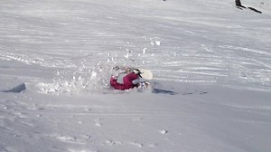 So much scorp! | Snow Magazine