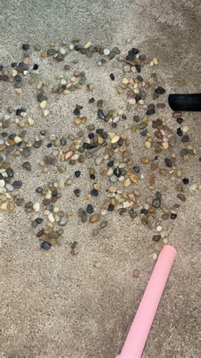 Creative Vacuuming Tips While My Vacuum is Broken