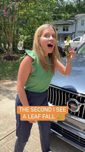 3.9M views · 60K reactions | It’s time you guys…  | The Holderness Family | Facebook