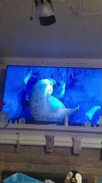 happy feet 2 seal chases