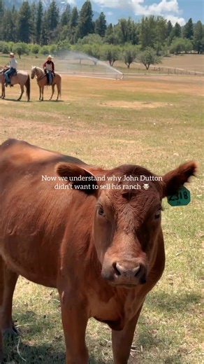 Discover the Dutton Ranch Near Yellowstone