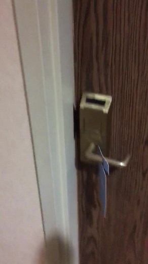 Movie Night | Movie Night