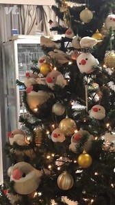 These birds are loving the Christmas tree decorations! 😂 | VT
