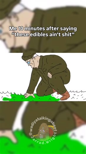 aka presh🌖 on Instagram: "Went from thinking I got scammed to thinking I’m going to die😭 @thebiglezshowofficial The Big Lez Show is an Australian animated series and YouTube phenomenon created by Jarrad Wright, with help from Tom Hollis and Izak Whear. Launched in 2012, it became a cult classic for its crude MS Paint animation, unfiltered Aussie humor, psychedelic visuals, and surprisingly emotional storytelling. The series follows Big Lez, a banished alien from the planet Kingdom Cum who sett