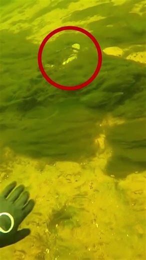 Discover Hidden Treasure While Scuba Diving