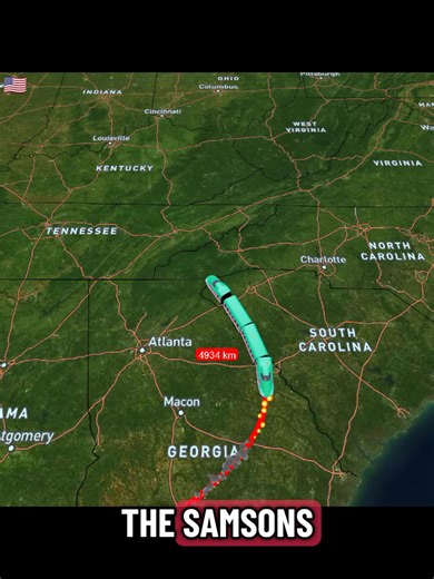 #simpsonspredictions #simpsonspredictions