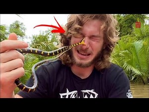 SNAKES Sudden Attack On HUMANS Compilation | Incredible Moments Caught On CCTV #32