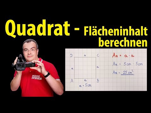 Square - Calculate Area | Lehrerschmidt