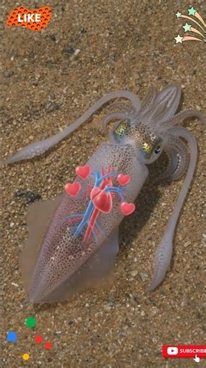 Mind-Blowing Squid Facts | The Ocean's Most Mysterious Creature | Amazing Squid Facts#Trending#Sh...