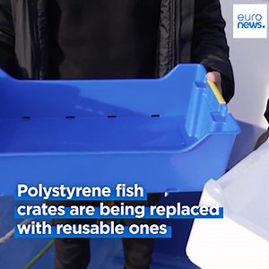 1.4K views · 26 reactions | The United Nations Environment Programme says 730 tonnes of plastic litter is dumped in the Mediterranean Sea every day. Euronews reporter Luca Palamara speaks to fishermen in Naples looking to cut down on plastic waste generated by the trade. ➡https://www.euronews.com/2023/12/07/fishing-villages-in-naples-ditch-polystyrene-in-microplastic-u-turn | Euronews English | Facebook