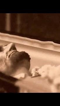 Celebrity Open Casket Photos: Abraham Lincoln, Elvis Presley, and More