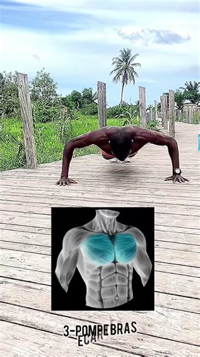 𝗖𝗵𝗲𝘀𝘁 𝗪𝗼𝗿𝗸𝗼𝘂𝘁 𝗦𝗲𝗿𝗶𝗲𝘀 𝘁𝗼 𝗕𝘂𝗶𝗹𝗱 𝗠𝗮𝘀𝘀𝗶𝘃𝗲 𝗣𝗲𝗰𝘀 ✅ #chest #viral