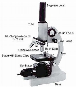 Microscopes