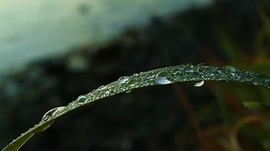 Relaxing Music with Rain Sound, Nature Sound, Sleep Music, Meditation Music, Relax Mind