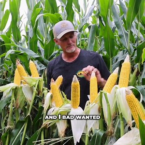 32 reactions | Chad evaluates his $4, $6, and $8 corn programs that were part of his AgroLiquid trials at his field day in May. https://www.xtremeag.farm/evaluating-corn | XtremeAg.farm | Facebook