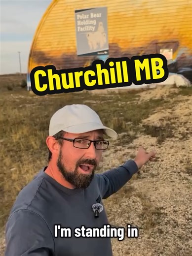 Explore the Polar Bear Holding Facility in Churchill MB