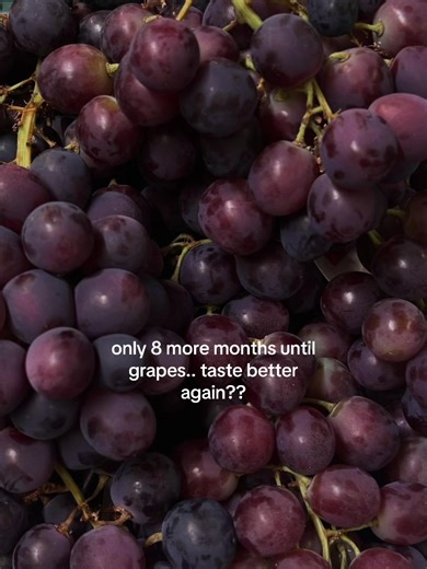 When Do Grapes Taste Best in 2024?