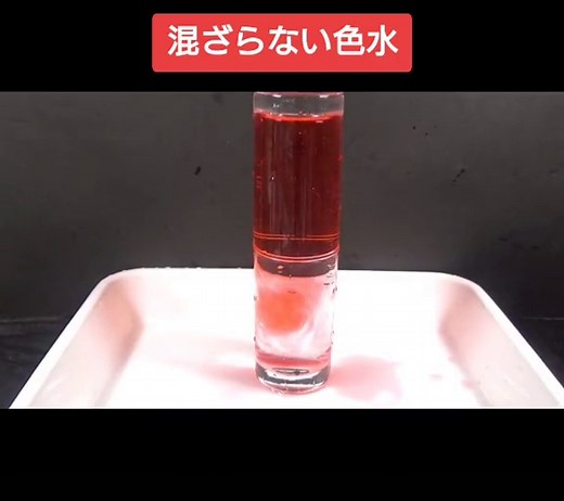 混ざらない色水🐢🐢#1日1実験動画 #理科の実験 #理科 #科学 #身近な科学 #密度