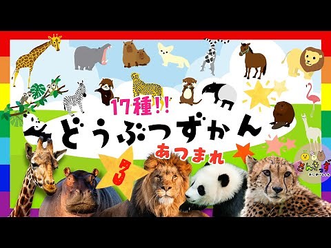 【赤ちゃん・子供向け 動物アニメ 】どうぶつずかんpart3 で 動物を探そう☆キリン ライオン パンダ など人気の動物が17種類登場！【動物図鑑】animal learning videos