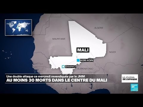 Mali : au moins 30 personnes tuées par le groupe jihadiste JNIM dans le centre • FRANCE 24
