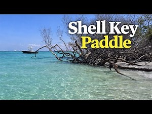 🌊 Kayaking Shell Key Preserve | Gulf of Mexico Adventure, Tierra Verde Florida