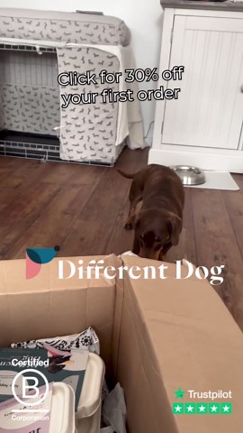 13 Delicious Vet-Approved Recipes for Your Dog