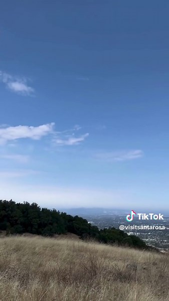 Take a deep breath and soak in the stunning views of Santa Rosa from the top of Taylor Mountain. Cheers to Being Here! ⛰️ 🎥: @happytobehiking 📍: Taylor Mountain Regional Park | 2080 Kawana Terrace #taylormountainregionalpark #vistapoint #hikingspots #destination #travel #visitsantarosa #santarosa #santarosacalifornia #sonomacounty #california