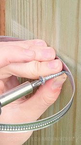 1.5M views · 3.6K reactions | Smart Chicken Feeding Hacks | Science, Tech and Universe | Facebook