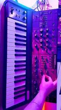 Behringer MS-5 Techno Jam – Live Analog Groove