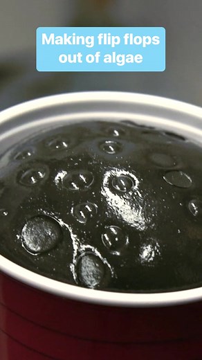 21K views · 371 reactions | Making Flip-Flops From Algae #foundonline | SMART Masonry | Facebook