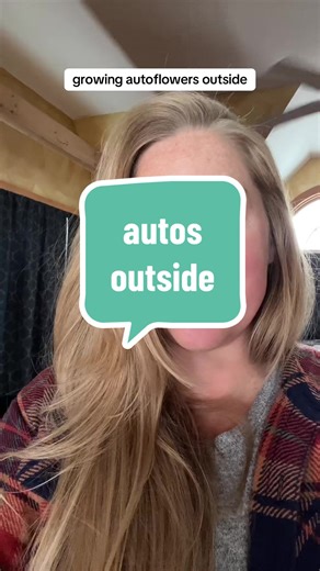 Growing Autoflowers Outdoors: A Complete Guide