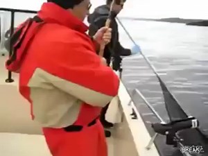 75K views · 1K reactions | POLAR BEAR-FISHERMAN! ======> Hunter & fishing | Hunter & fishing | Facebook