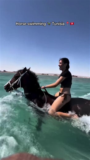 Swim with Horses Experience in Tunisia
