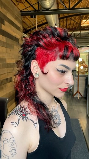 𝔇𝔢𝔫𝔳𝔢𝔯 ℌ𝔞𝔦𝔯𝔰𝔱𝔶𝔩𝔦𝔰𝔱 ✂️ | Alice has me doing the coolest hair ❤️🖤 @illiteracy4me #denver #denverhairsalon #denverhair #redandblackhair #redandblack #mullethair... | Instagram