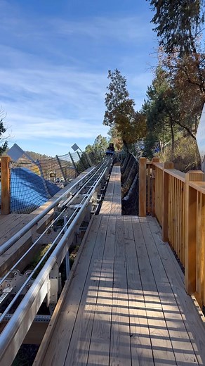 1.4K views · 154 reactions | GET READY FOR LIFTOFF!  New Mexico's ONLY Mountain Coaster is here! • 5100 feet of twists and turns • Heart-pumping 360-degree helix • Reach speeds up to 25mph! Are you brave enough to ride the Screaming Eagle? ⛰️ Click now to book your thrill-seeking adventure! | Ruidoso, New Mexico | Facebook