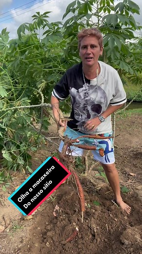 Plant Digging Techniques in a Natural Setting