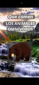 ¿Qué comen los animales Omnívoros? - ¿De qué se alimentan los animales Omnívoros?