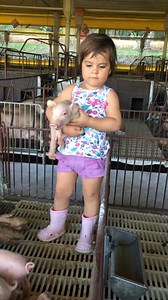 20K views · 304 reactions | Merită un Like si o Distribuire ❤️....