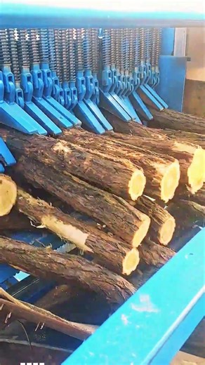 Firewood Circular Saw