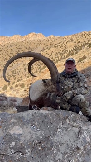 Shikar Safaris on Instagram: "Well deserved Justin ,Congratulations for your Giant Bezoar Ibex from central Türkiye,amazing hunt and amazing trophy .For bookings please contact us by e-mail info@shikarsafaris .com ,by#shikarsafaris #hunting #ibex #mountain #outdoors #photooftheday #outdoors #shikar #safaris #sheep #markhor #Wildsheep #hunt #chasse #jagd #casa #kuiu #kuiunation"