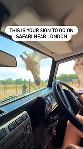 10K views · 114 reactions | ad Save this incredible safari day out at...