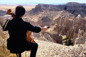 Earth-Art-Movement: Andy Goldsworthy and Land Art